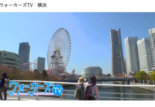 NHK BS1『ウォーカーズTV』出演